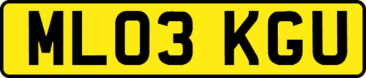 ML03KGU