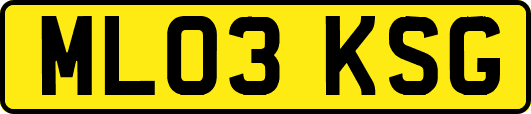 ML03KSG