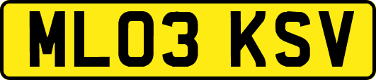 ML03KSV