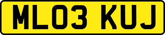 ML03KUJ