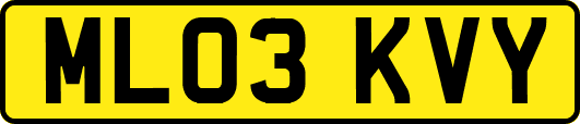 ML03KVY