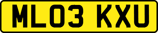 ML03KXU