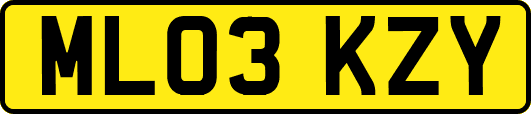 ML03KZY