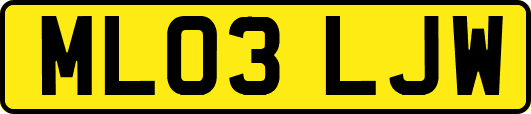ML03LJW