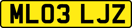 ML03LJZ