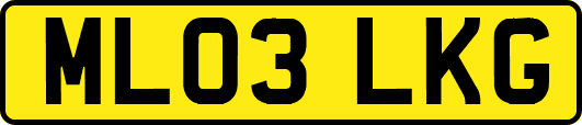 ML03LKG