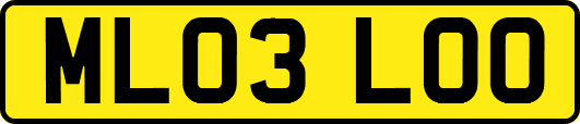 ML03LOO