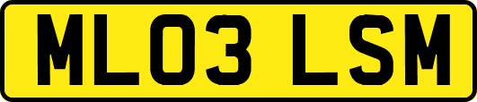 ML03LSM