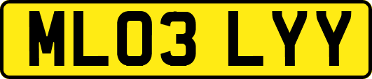 ML03LYY