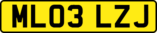 ML03LZJ