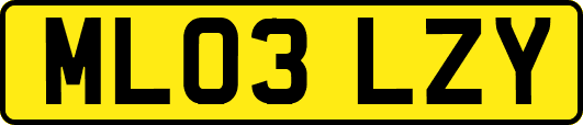 ML03LZY