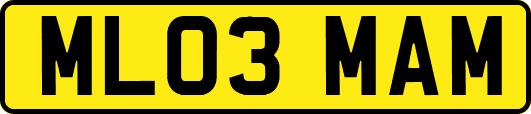 ML03MAM