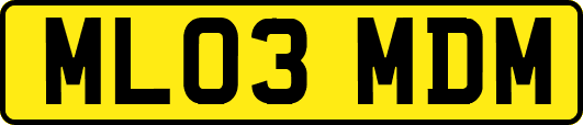 ML03MDM