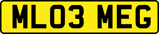 ML03MEG