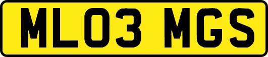ML03MGS