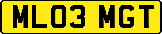 ML03MGT