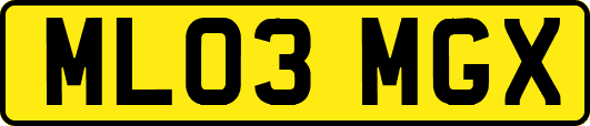ML03MGX
