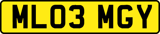ML03MGY