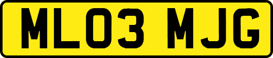 ML03MJG