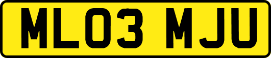 ML03MJU