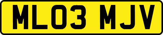 ML03MJV