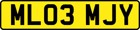 ML03MJY