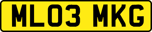 ML03MKG