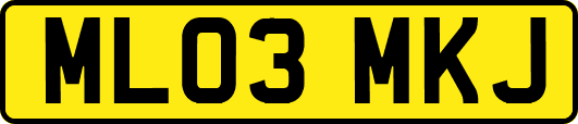 ML03MKJ