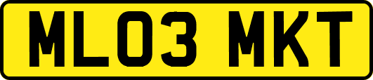ML03MKT