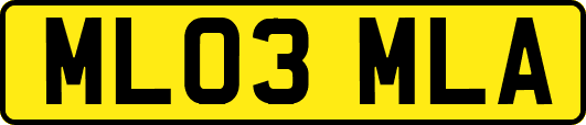 ML03MLA