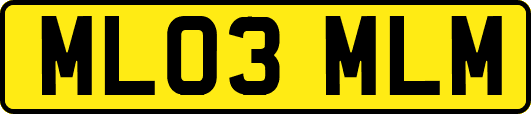 ML03MLM