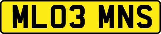 ML03MNS
