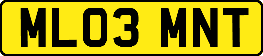 ML03MNT