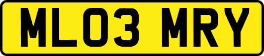 ML03MRY