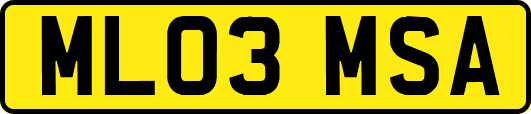 ML03MSA