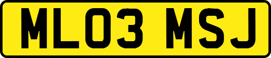ML03MSJ