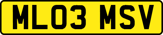 ML03MSV