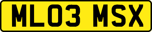 ML03MSX