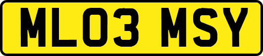 ML03MSY