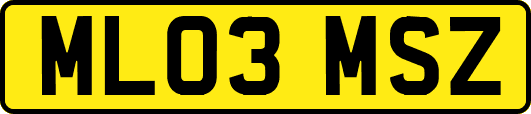 ML03MSZ