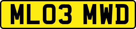 ML03MWD
