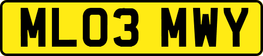ML03MWY