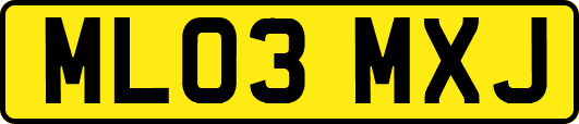 ML03MXJ
