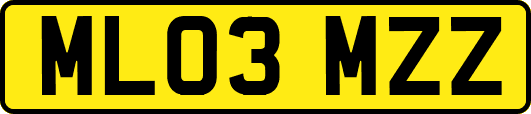 ML03MZZ