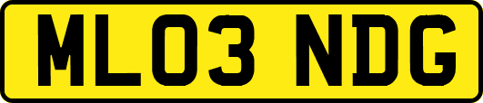 ML03NDG