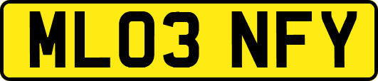 ML03NFY