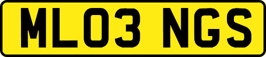 ML03NGS