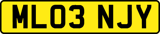 ML03NJY