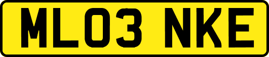 ML03NKE