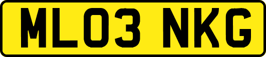 ML03NKG
